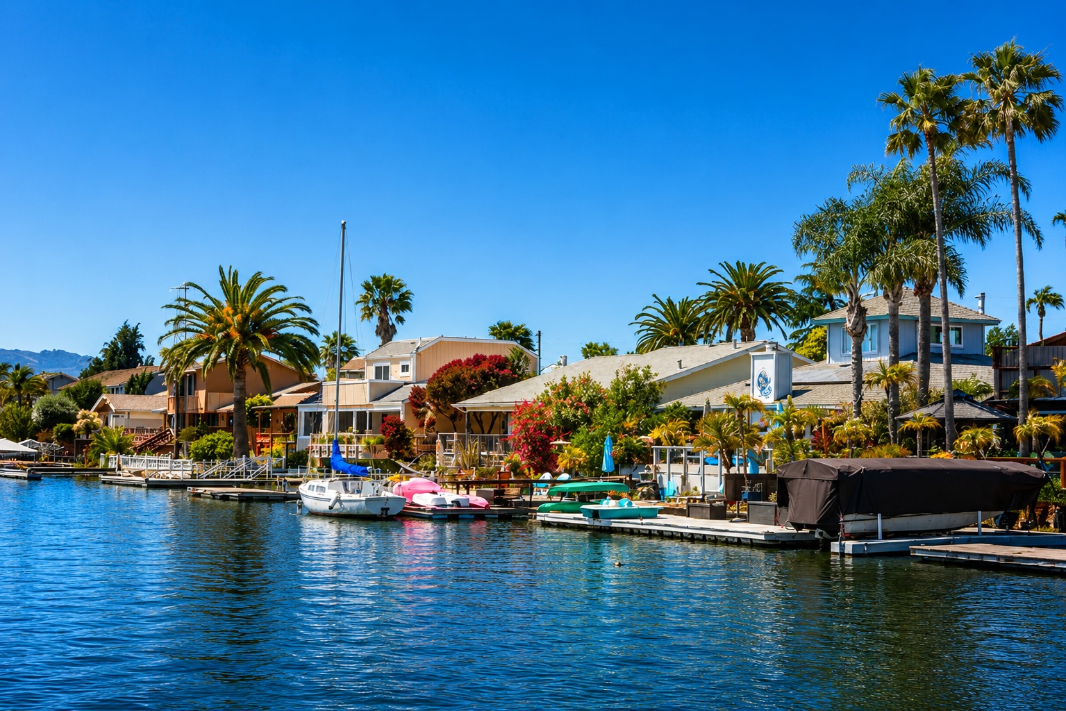 THE BEST OF Novato Movers