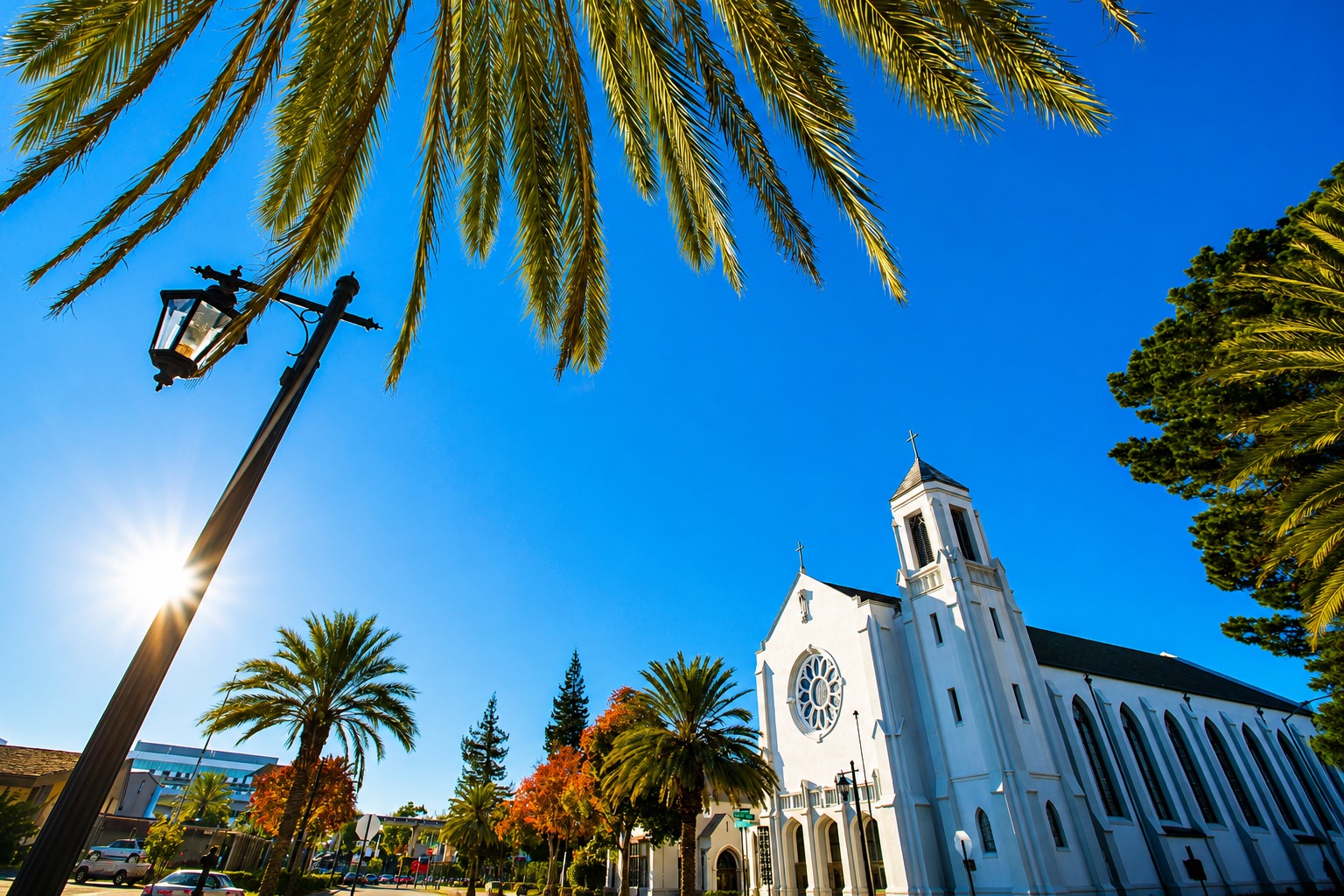 THE BEST OF San Leandro Movers