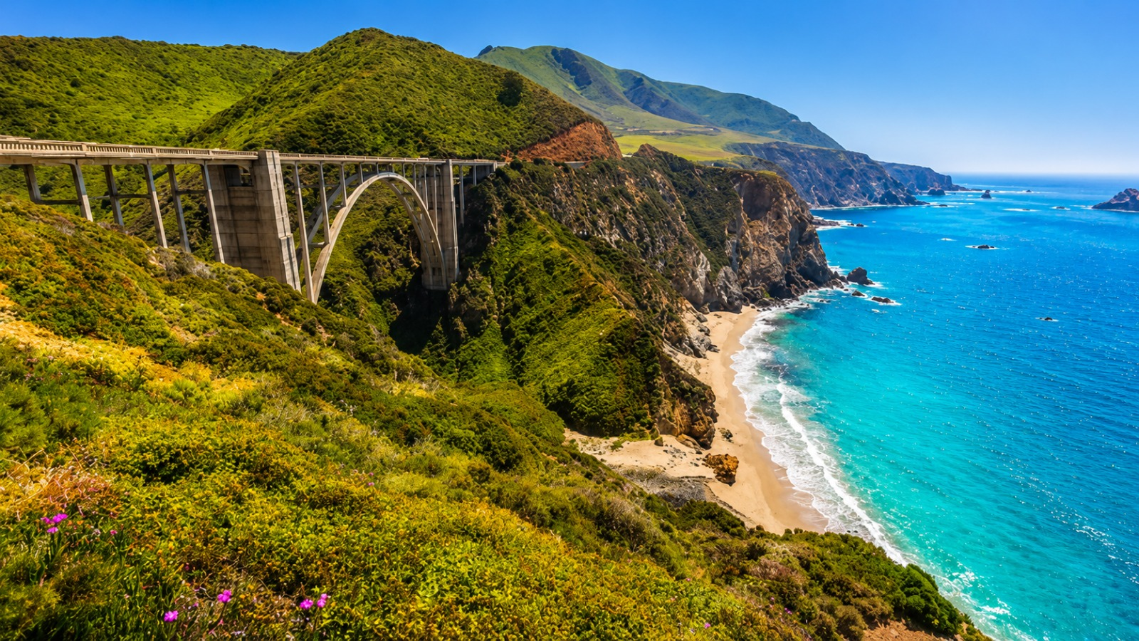 THE BEST OF Monterey Movers