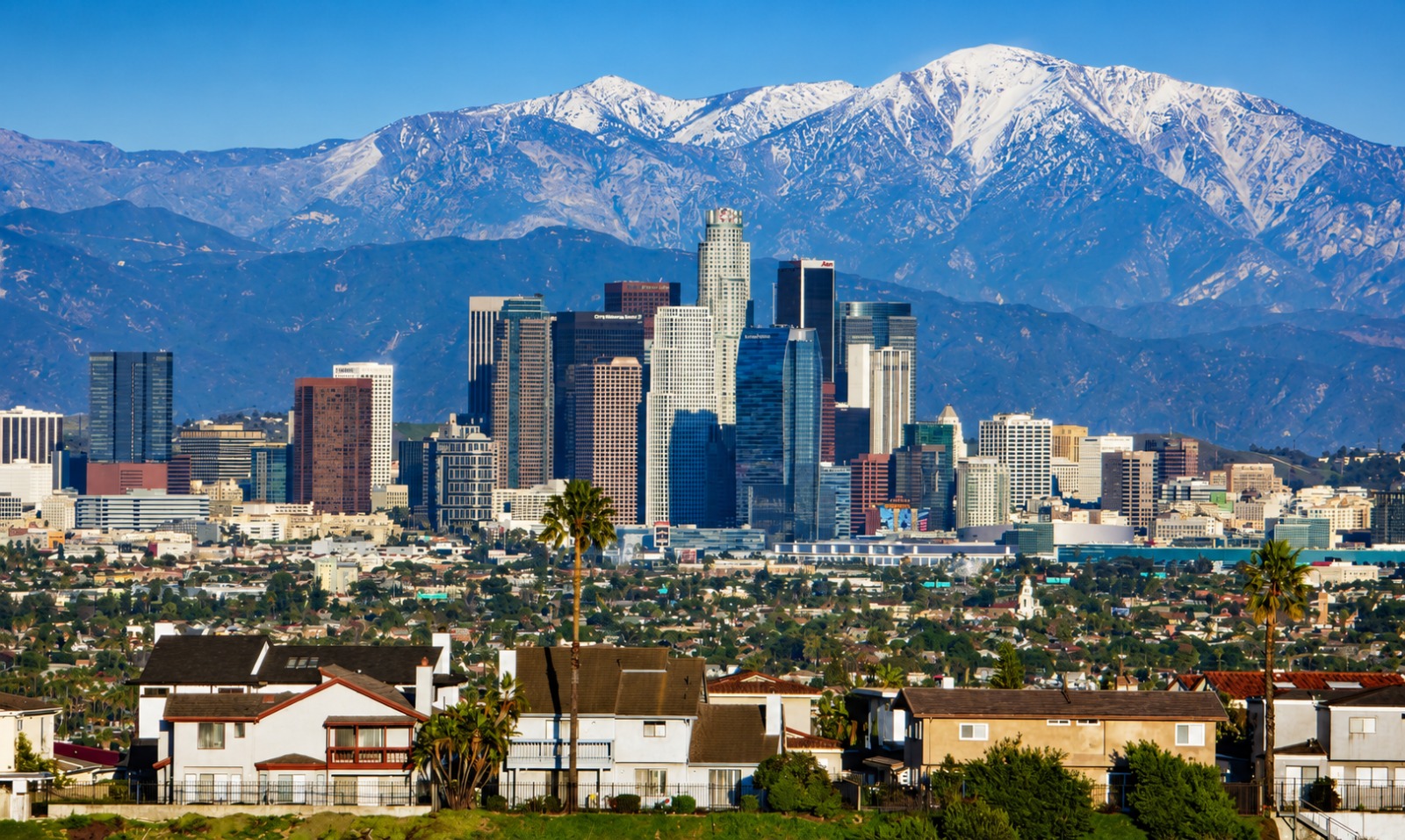 THE BEST OF Los angeles Movers