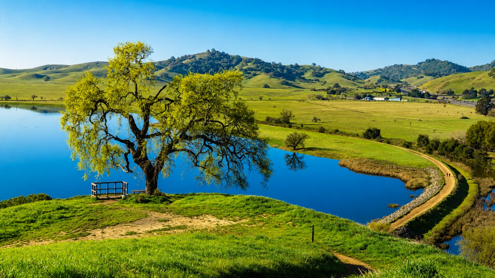 THE BEST OF VACAVILLE Movers